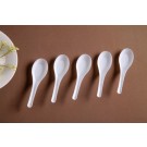Japan Spoon Chinese Spoon Soup Spoon