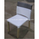 Leisure Outdoor Furniture Rattan Side Chair (CF1228C)