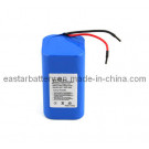 Lithium Battery Pack for Carpet Cleaner Li-ion 18650 Battery