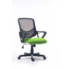 Low Back Office Traning Chair Meeting Mesh Chair (FS-1024)