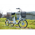 Low Price Cargo Electric Mobility Tricycle Manufacturer in China