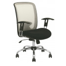 Luxus Low Back Office Traning Chair Meeting Mesh Chair (FS-81)