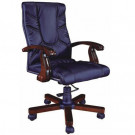 Medium Back Manager Boss Swivel Executive Office Chair (Fs-B624)