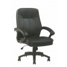 Medium Back PU Executive Office Chair (FS-8745)