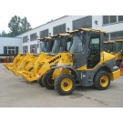 Mini Multi-Function CE Loader (HQ910J) with SGS