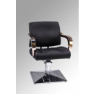 Modern Design and Cheap Styling Chair (MY-007-77)
