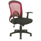Modern Ergonomic Low Back Mesh Chair Fs-803