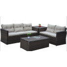 Modern Garden Furniture Rattan Sofa Set (PAS-1501)