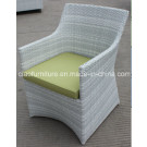 Modern Relax Outdoor Furniture Rattan Chair (FC002)