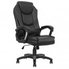 Modern Rotary Office Executive Swivel Director Chair (FS-2017)