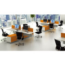 Modern Style Premium Staff Partition Workstations Office Desk (PS-LNPS-01)