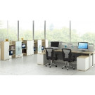 Modern Style Premium Staff Partition Workstations Office Desk (PS-LNPS-04)