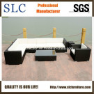 Outdoor Furniture/ Sofa Furniture/ Luxury Sofa Design (SC-B6017)