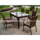 Outdoor Rattan Dining Set (PAD-083)