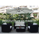 Outdoor Rattan Furniture / Garden Wicker Sofa (PAS-060.2)