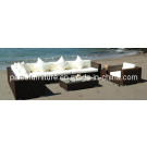 Outdoor Rattan Furniture Patio Leisure Sofa Set (PAS-062.1)
