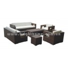 Outdoor Rattan/ Wicker Garden Furniture (BP-810)