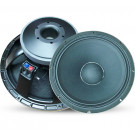 PA Woofer Speaker (TBX-12PS100)