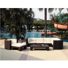 PE Rattan Aluminium Furniture Poolside Sofa Set (S0048)