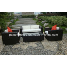 Patio Furniture Outdoor Wicker Rattan Garden Sofa (PAS-044.2)