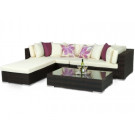 Patio Garden Outdoor Wicker Rattan Sofa Set (PAS-1102B)