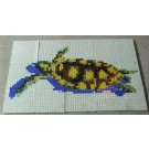 Pool Design with Mosaic