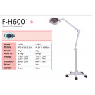 Professional Magnifying Lamp with LED Light (F-H6001)