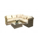 Rattan Furniture/Rattan Outdoor Furniture/Rattan Sofa (PAS-1203)