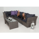 Rattan Wicker Garden Outdoor Patio Sofa Set (PAS-1208)