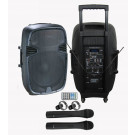 Rechargeable Battery DJ Speaker Box with USB/SD Bluetooth Wireless Microphones