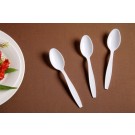 Regrind PS Spoon PS Spoon