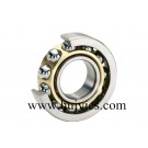 Roller Bearing