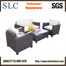 Sofa Furniture/Classical Sofa/Sofa (SC-B9621)