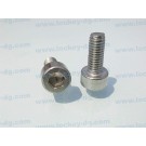 Stainless Steel Hex Socket Head Screw