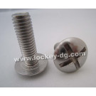 Stainless Steel Mushroom Head Roofing Bolt