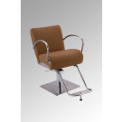 Stainless Steel Salon Chair of Salon Furniture (MY-007-96)