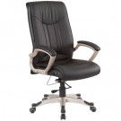 Swivel Chair/Executive Chair/Office Chair (FS-8502)