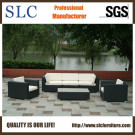 Synthetic Wicker Furniture/Outdoor Furniture Set / Furniture (SC-B6018-F)