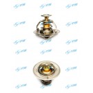 Thermostat/JAC Parts/Auto Parts