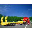 Tongya Factory Price 3 Axle Lowbed Semi Trailers (CTY9876)