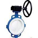 Turbine Butterfly Valve