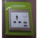 Universal Dual USB Wall Socket