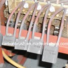 Where to Buy Carbon Brush Eg319p for DC Motor