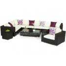 Wicker Patio Outdoor Garden Rattan Sofa Set (PAS-1127)