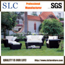 Wicker Sofa Set / Leisure Sofa/Patio Furniture (SC-B1004)