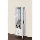 Wine Cellar with Wine Cabinet Home Furniture (JG-198B)