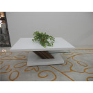 Wooden Design Coffee Table Furniture