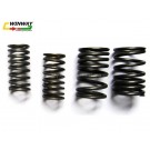 Ww-9507 Gy6-125 Motorcycle Compression Spring, Motorcycle Engine Valve Spring, Motorbike Part