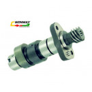 Ww-9612 GS125 Motorcycle Camshaft, Motorcycle Part