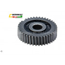 Ww-9742 Gy6-125 Motorcycle Gear, Motorcycle Oil Saving Gear, Motorcycle Part